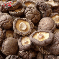 湖北干香菇山貨 金錢(qián)菇菌類干貨 香菇干 基地供應(yīng)500g