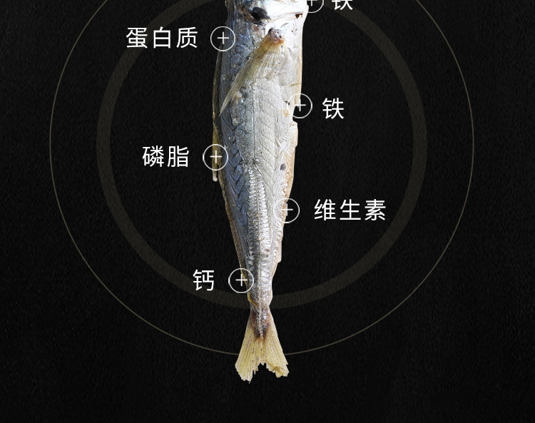 巴浪魚魚干詳情頁_08.jpg