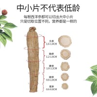西洋參切片250g大片花旗參含片非500g整枝長白山人參片泡茶水