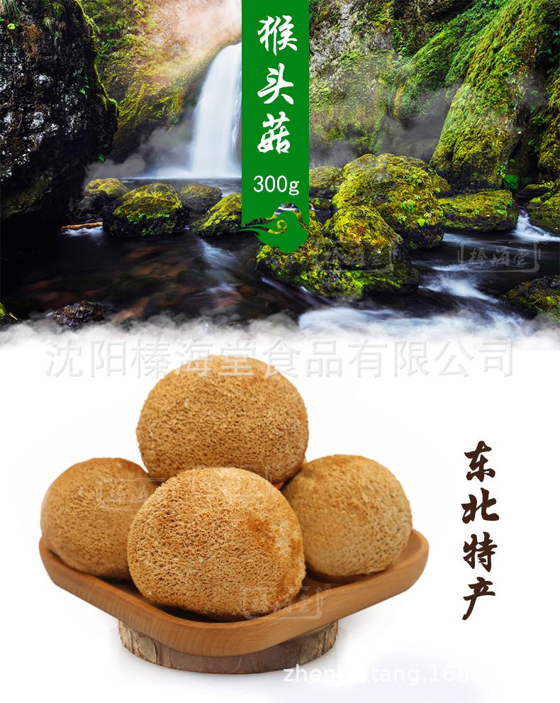 猴頭菇詳情頁(yè)._01.jpg