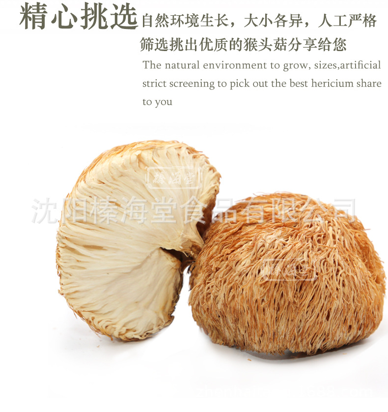 猴頭菇詳情頁(yè)._08.jpg
