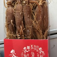 紅參 紅參整枝 500克一盒 一件代發(fā)