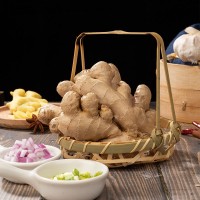 廠家批發(fā) 來鳳風頭姜生姜食品黃姜大姜新鮮嫩姜烹飪原料 基地種植