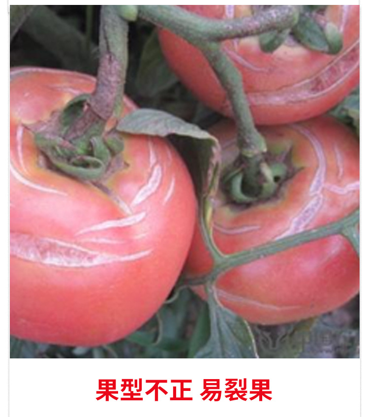甲殼素海藻精鉀_03.jpg