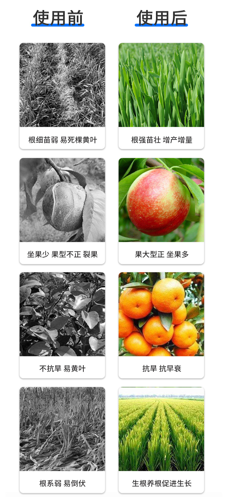 甲殼素海藻精鉀_14.jpg