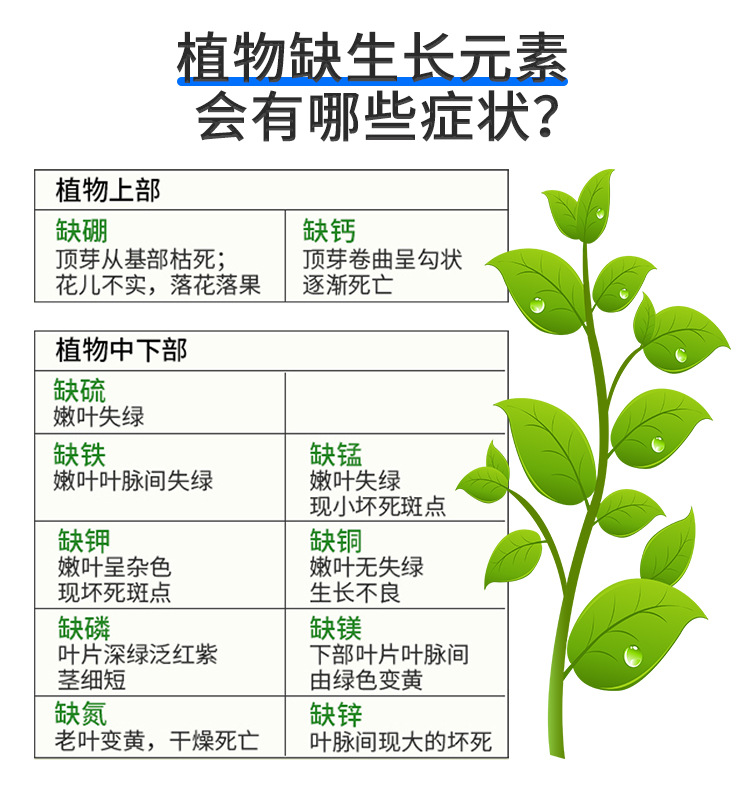 甲殼素海藻精鉀_12.jpg