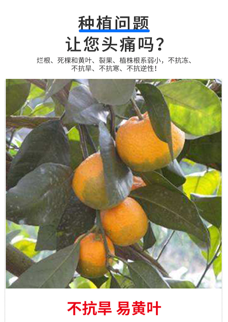 甲殼素海藻精鉀_02.jpg