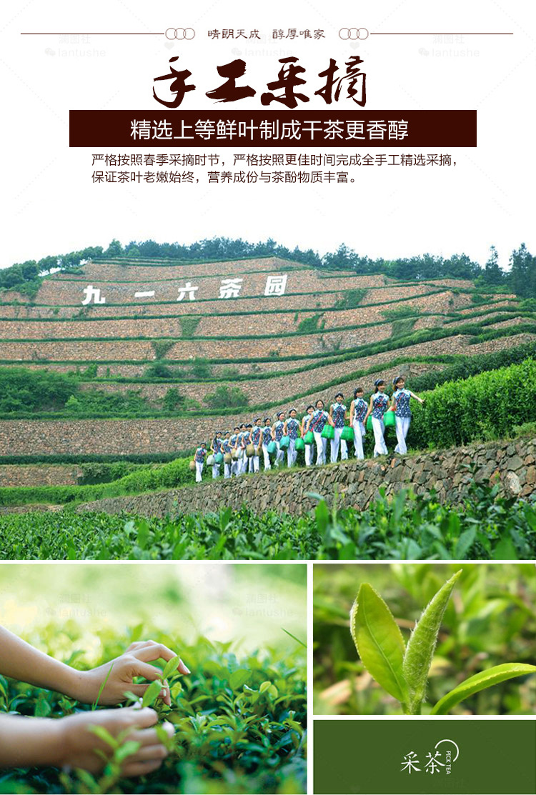 小蘭花-3