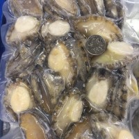 冷凍鮑魚(yú)肉批發(fā)速凍鮑魚(yú)肉去殼去內(nèi)臟30頭鮑魚(yú)肉大約25-35個(gè)