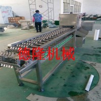 果蔬切段機(jī) 玉米切斷機(jī) 胡蘿卜切斷機(jī) 玉米段切割機(jī)