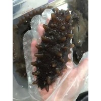 俄羅斯進(jìn)口海參批發(fā)原貨海參干貨餐飲食材海鮮水產(chǎn)品淡干俄島海參