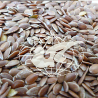 亞麻籽 亞麻籽 亞麻籽 含油籽仁linseed@