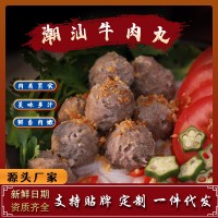 潮汕牛肉丸燒烤火鍋食材批發(fā)500g關(guān)東煮麻辣燙冷凍丸爆款食材批發(fā)