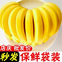 【香糯甜】云南高山香蕉新鮮水果整箱批發(fā)非小米蕉芭蕉10/2斤
