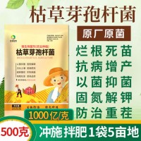 500克/包常規(guī)型 農(nóng)業(yè)肥種植改良土壤促增長種植菌種 枯草芽孢桿菌