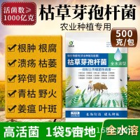 500g 枯草芽孢桿菌 全水溶植物枯萎病根腐病立枯病土壤病