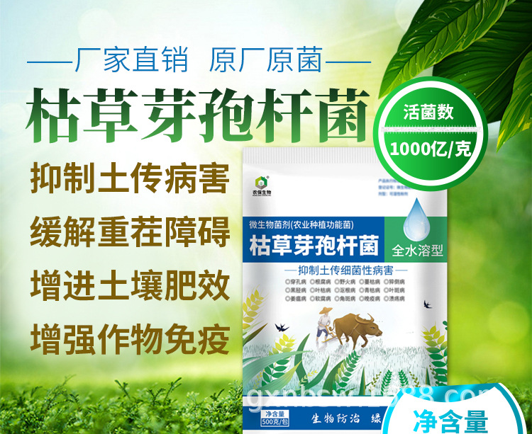 枯草(農(nóng)用)【詳情頁】-新500克_01.jpg
