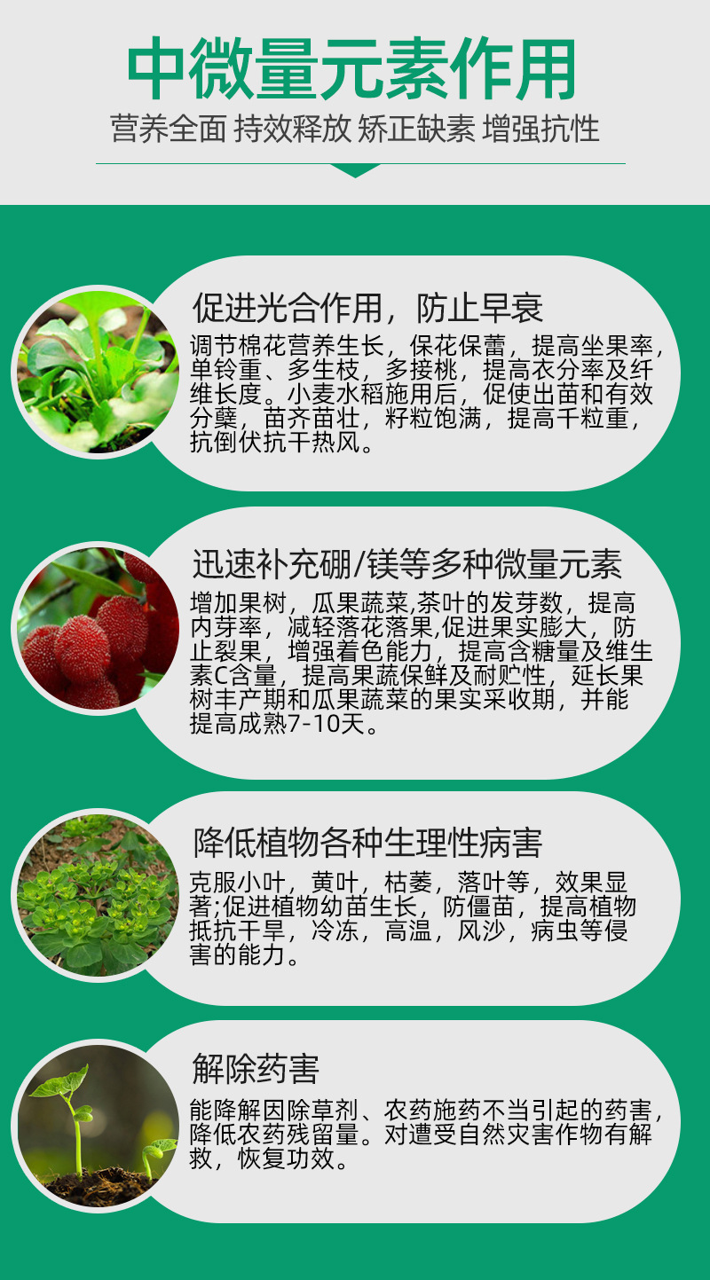 01騰飛-中微量元素肥詳情_(kāi)08