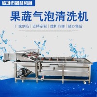 蘆筍清洗機(jī) 氣泡沖浪噴淋洗菜機(jī) 筍類蔬菜加工大型清洗機(jī)商用