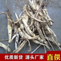 中藥材批發(fā)秦嶺野生北沙參 北沙參片干貨沙參條 現(xiàn)貨供應(yīng)