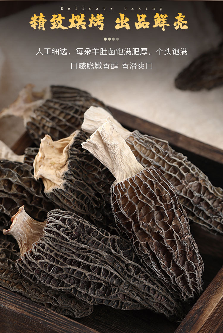 羊肚菌1_06