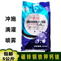 芬蓓 硼鋅銅鐵鉀鈣鎂 果樹蔬菜中微量元素水溶肥沖施肥 5公斤