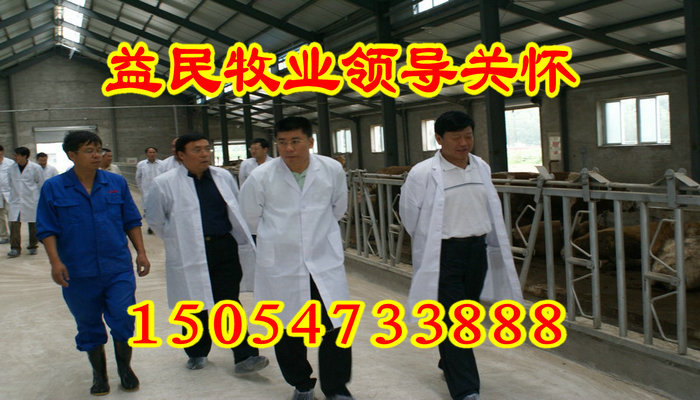 579e9f1174f95