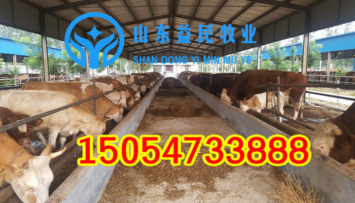 20160703072734_95248