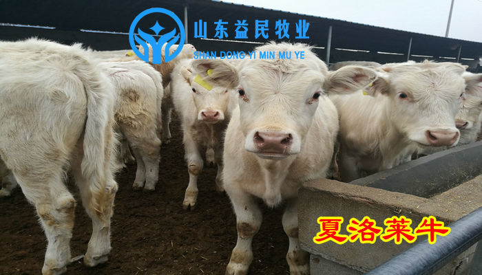 QQ圖片20170404123016