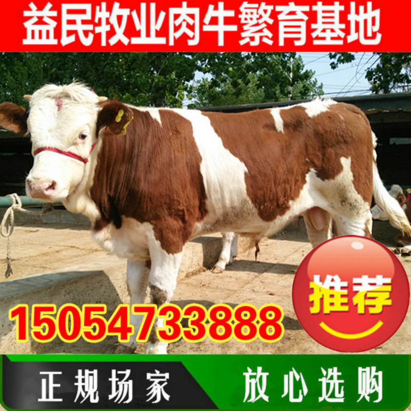 9887