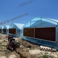 北美用雙層拱棚 greenhouse 植物種植遮陽(yáng)棚定制外貿(mào)陽(yáng)光房