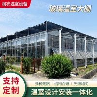廠家可定玻璃溫室大棚 陽(yáng)光連棟休閑觀光溫室玻璃農(nóng)業(yè)養(yǎng)殖大棚