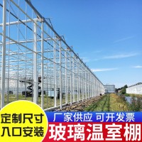 農(nóng)業(yè)玻璃溫室大棚 陽光生態(tài)溫室 花卉 果蔬養(yǎng)殖大棚 包測量安裝
