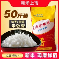 21年現(xiàn)磨新大米太湖珍珠米50斤/包 江蘇清香米20斤粳米包郵