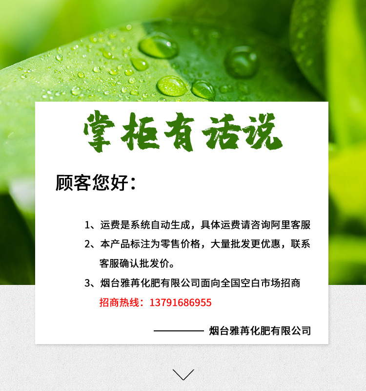掌柜有話說