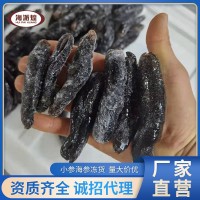 廠家直銷凍干小海參 速凍水發(fā)大烏參靴參 餐飲海鮮批發(fā)
