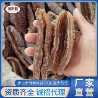 廠家供應(yīng)凍干海參 冷凍水發(fā)赤蟲參 速東酒店海鮮食材批發(fā)