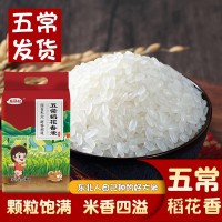 五常精選稻花香10斤當(dāng)季新米10斤東北大米長(zhǎng)粒香米產(chǎn)地直供包郵批