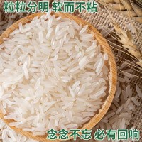 秈米特長(zhǎng)貓牙米5kg大米批發(fā)10kg絲苗米50斤米長(zhǎng)粒新米可代發(fā)包郵