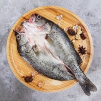 【廠家加工定制 】開背海鱸魚 鱸魚鲞 三去冷凍真空包裝 酒店餐飲