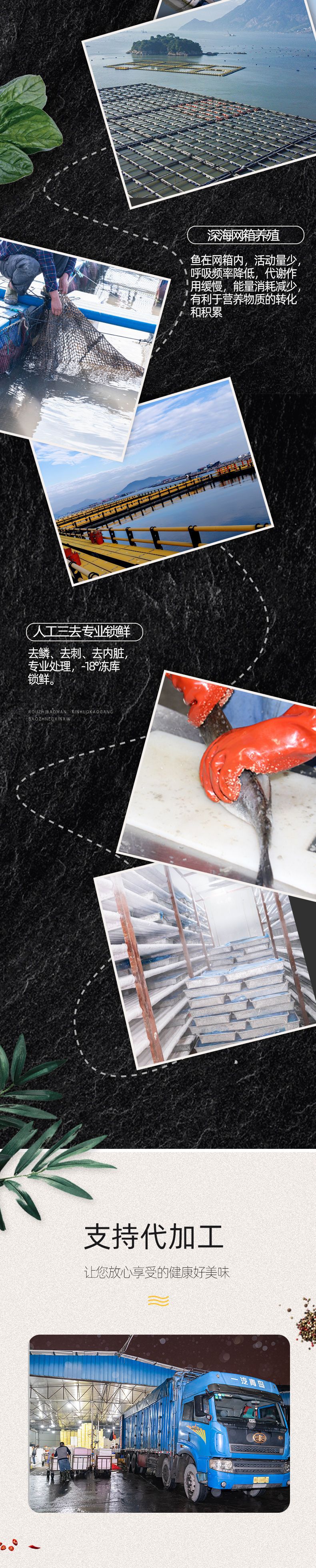 鱸魚鲞_03
