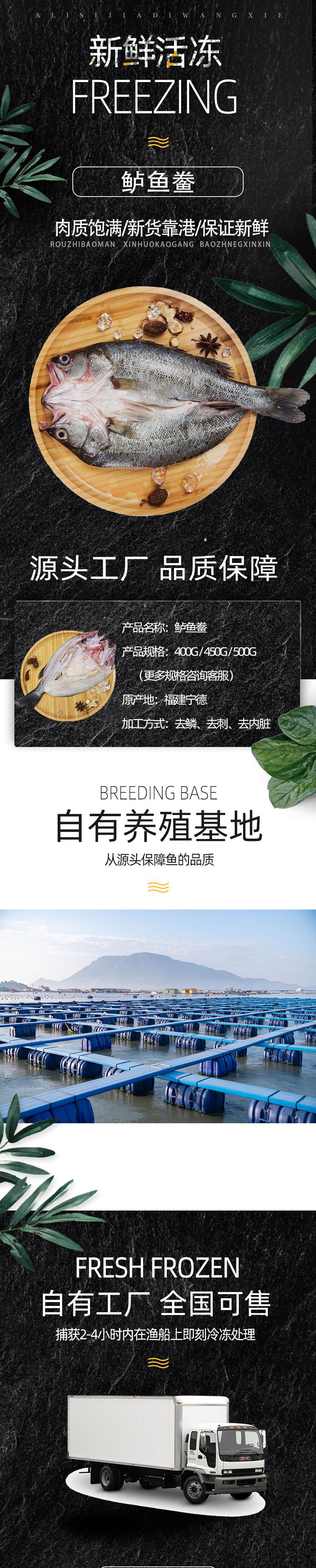 鱸魚鲞_01