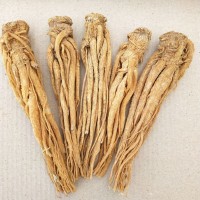 當歸廠家供應(yīng)水洗有硫黃當歸食用農(nóng)產(chǎn)品產(chǎn)地直供量大從優(yōu)