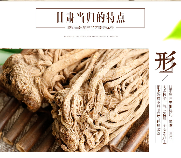 當(dāng)歸個_05