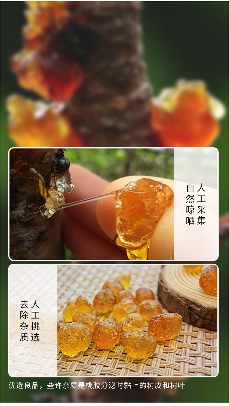 天然珍珠桃膠_05