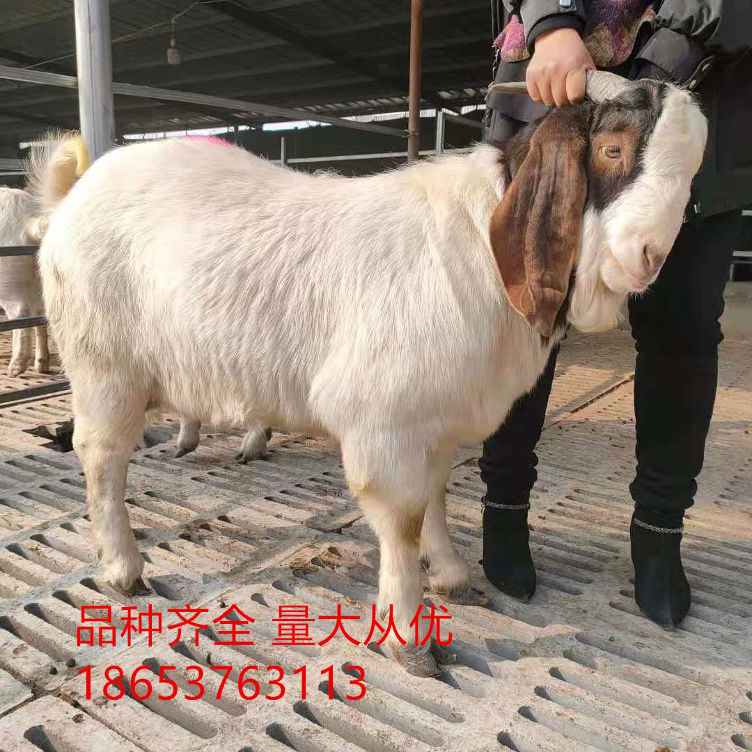 微信圖片_20210225174758.jpg