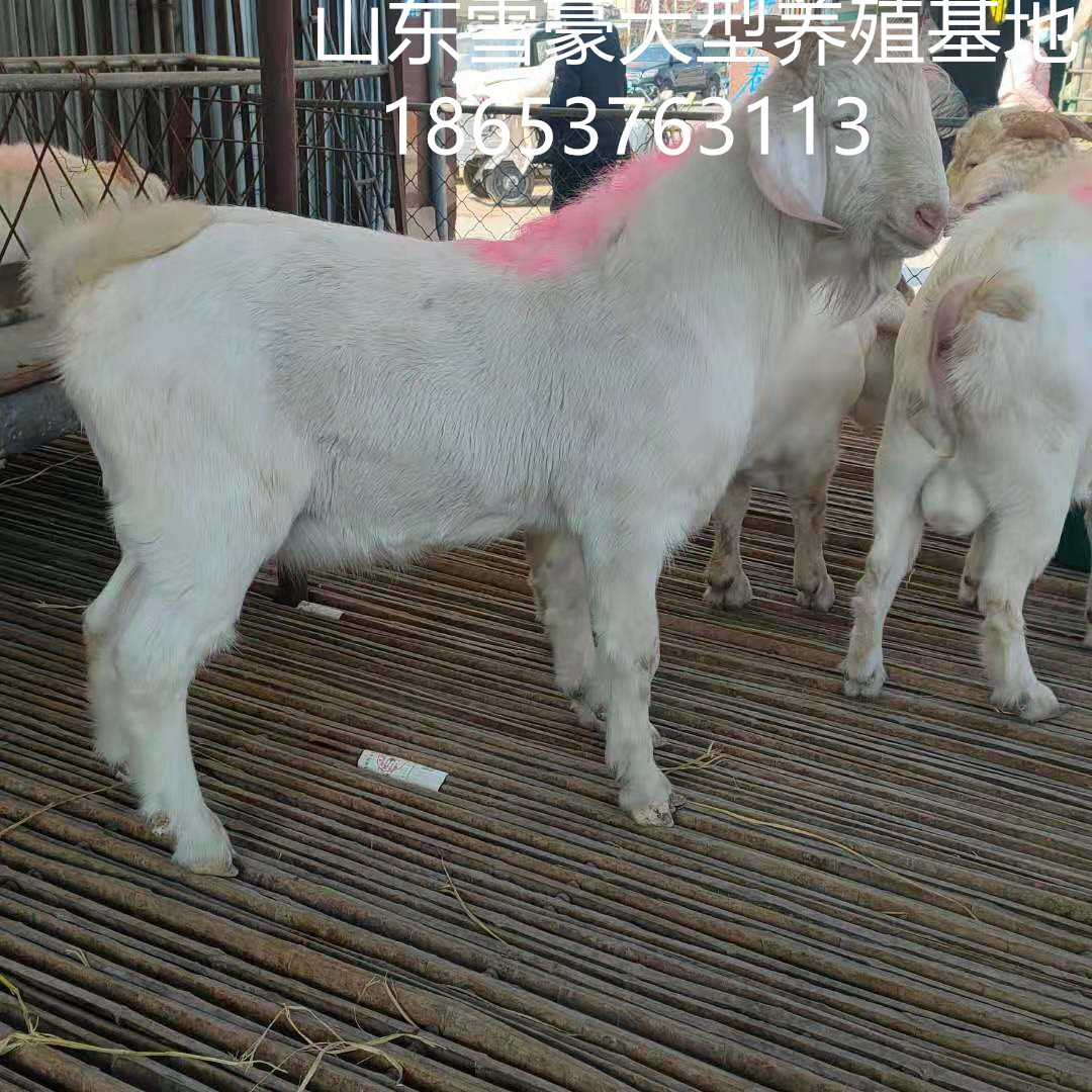 微信圖片_20210218115404.jpg