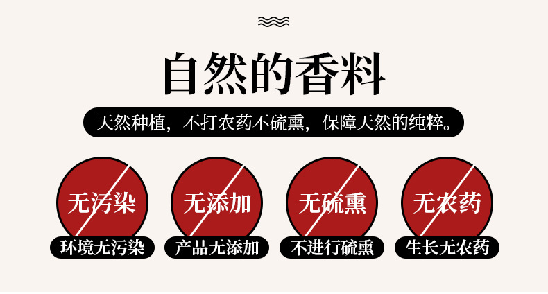 桂皮_06.jpg