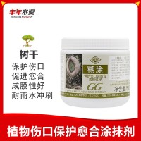 國光糊涂愈傷涂膜劑大樹傷口愈合劑大樹涂膜劑樹木涂抹劑500g