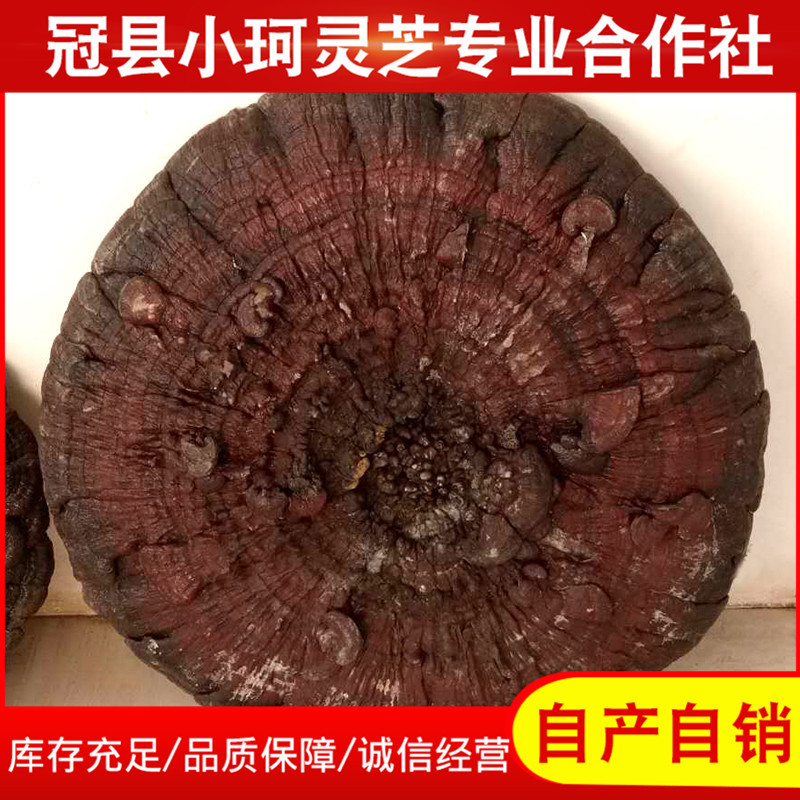 微信圖片_201805160838351副本.jpg